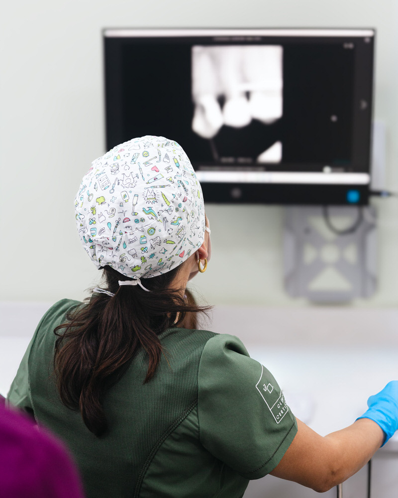 Endodoncia en Oviedo con la Dra Luisa Castillo en el Centro Odontológico Miguel González 5